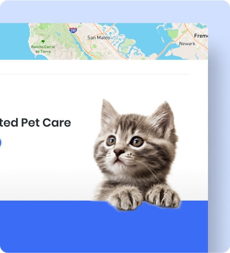 a zoomed in view of a kitten used on a cta in the united pet care site