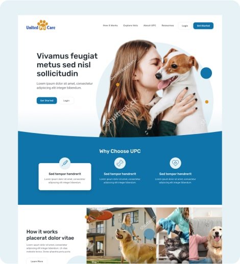 A preview of an alternative direction explored for the United Pet Care site