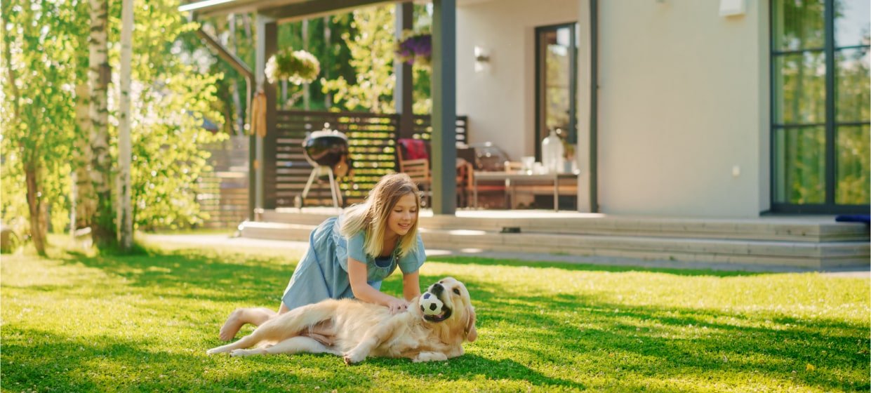 A young girl in a blue dress playing with a golden retriever on the grass in a backyard. The dog has a small soccer ball in its mouth