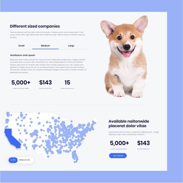 A preview of the United Pet Care site, showing a corgi puppy next to tabbed content. Beneath that, a map of the US with highlights of the vet location available.