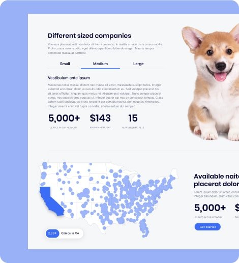 A preview of the United Pet Care site, showing a corgi puppy next to tabbed content. Beneath that, a map of the US with highlights of the vet location available.