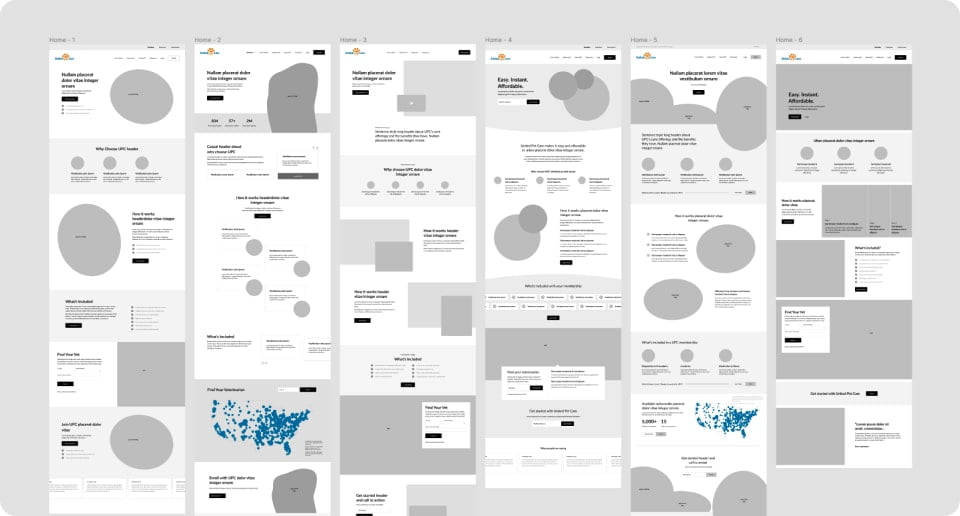 6 wireframe explorations for the united pet care site