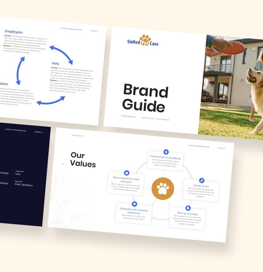 pages from a brand guide