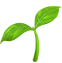 plant emoji